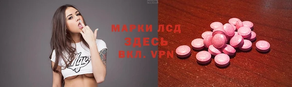 стаф Волосово
