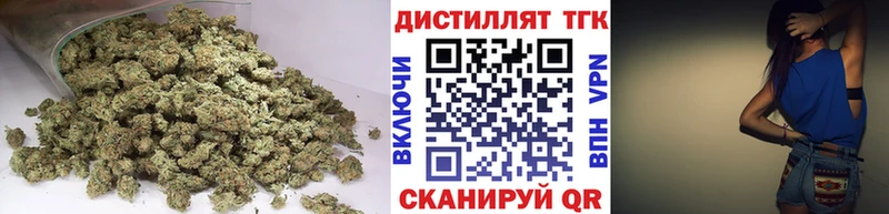 ТГК Wax  где найти   Грайворон 