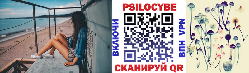 Псилоцибиновые грибы мицелий  где найти наркотики  Грайворон 